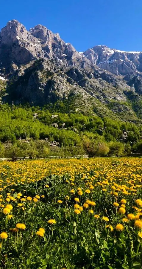 Villas Jezerca Valbona